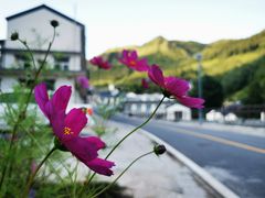-灵山