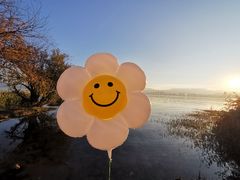 -洱海月湿地公园