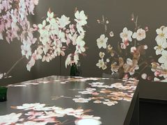 -良设夜宴 LIANGSHE