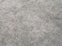 -巢爷老味(东方红店)