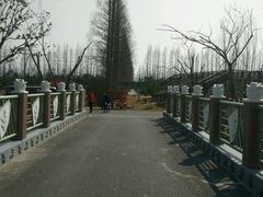 -上海长兴岛郊野公园