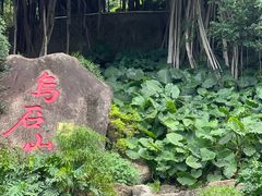 -乌山风景区