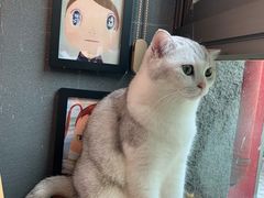 -咖法森林·咖啡  酒吧(天河店)