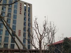 -首都医科大学附属北京潞河医院