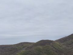 -大围山国家森林公园