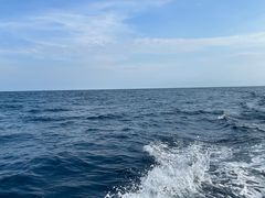 -小猫钓鱼海钓俱乐部(椰梦长廊店)