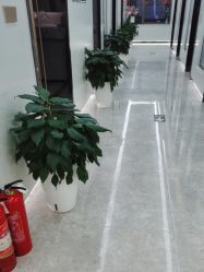 -悟空祛痘·诺奖技术专业店