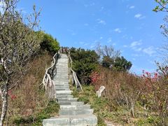 -梧桐山风景名胜区