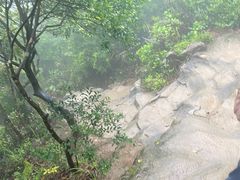 -梧桐山风景名胜区