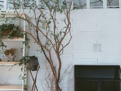 -春树下·树屋花房西餐厅(罍街AS1980店)