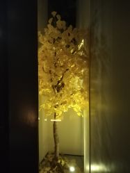-美壹生诊所皮肤管理中心·海菲秀&Legacy美白舱