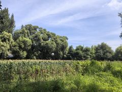 -松浦·观江国际