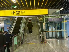 -大龙山(地铁站)