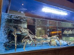 -龍千代·味自慢(黑龙江北路店)