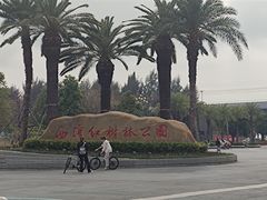 -宝安西湾红树林湿地公园