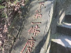 -大金鹰园