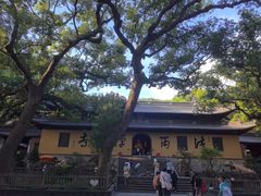 -普陀山风景名胜区-法雨禅寺