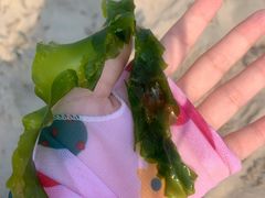 -北戴河东海水浴场