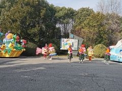 -溱湖国家湿地公园