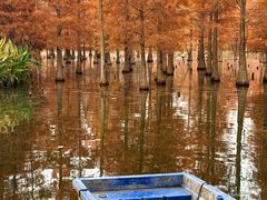 -白鹭湾湿地公园