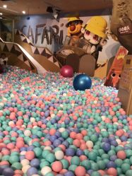 -卡通尼·Safari非洲探索乐园·生日会(金桥国际商业广场店)