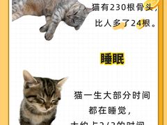 -佩兹宠物医院肿瘤专科·眼科·牙科(黄浦店)