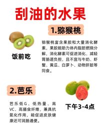 -Fundi张玉珊修身堂·indiba·BTL科技瘦身
