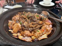 鹿茸菌焗河田鸡-闽和南(深圳万象城店)