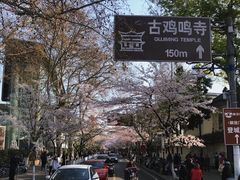 -鸡鸣赐茶(鸡鸣寺路店)