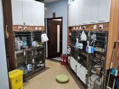 -瑞派·关忠动物医院·异宠专科·犬猫肿瘤·皮肤专科(望京店)