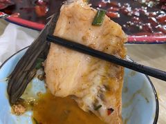 来凤鱼-东吴霸王兔(松青路店)
