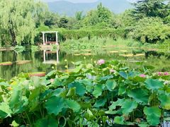 -国家植物园南园