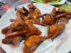-东鸽皇(奥园·中环广场店)