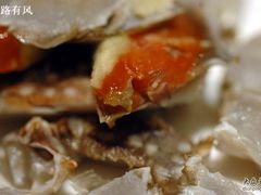 红膏咸蟹-贴阁碧(百丈东路店)