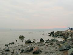 -深圳湾公园(南山区)