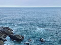 -广东惠东海龟国家级自然保护区