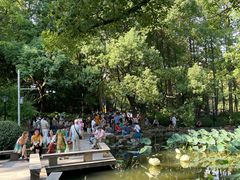 -人民公园-相亲角