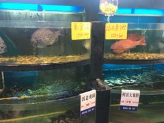 水产区-莆鑫海鲜城(浏河店)