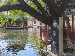-百脉泉景区