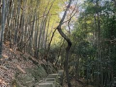 -穹窿山景区