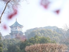 -无锡梅园公园