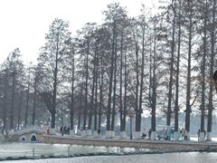 -东湖听涛景区