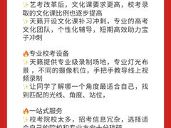 -天籁艺术高考培训学校·重庆艺考集训