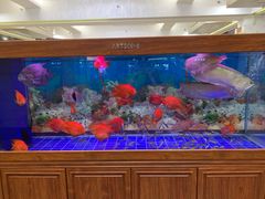 -明香海鲜酒家(华强北店)