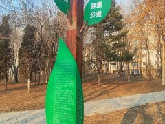 -黛秀湖公园