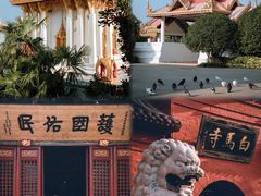 -洛阳博物馆