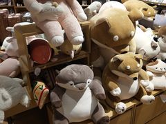 -九木杂物社(中心店)