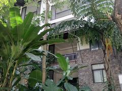 -西双版纳洲际度假酒店兰吧