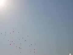 -浙江越秀外国语学院