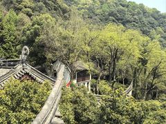 -韬光茶庵